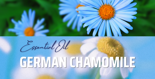 German Chamomile Flower Oil