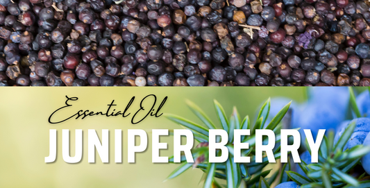 Juniper Berry Oil