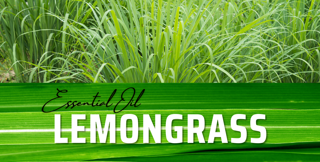 Lemongrass Oil – Unstoppable Health & Wellness