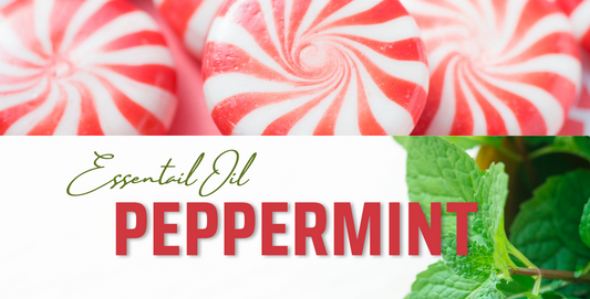 Peppermint Essential Oil