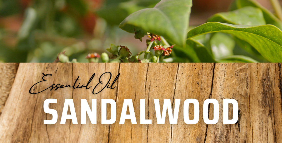 Essential Oil: Sandalwood