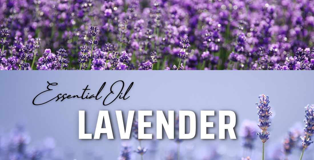 Essential Oil: Lavender