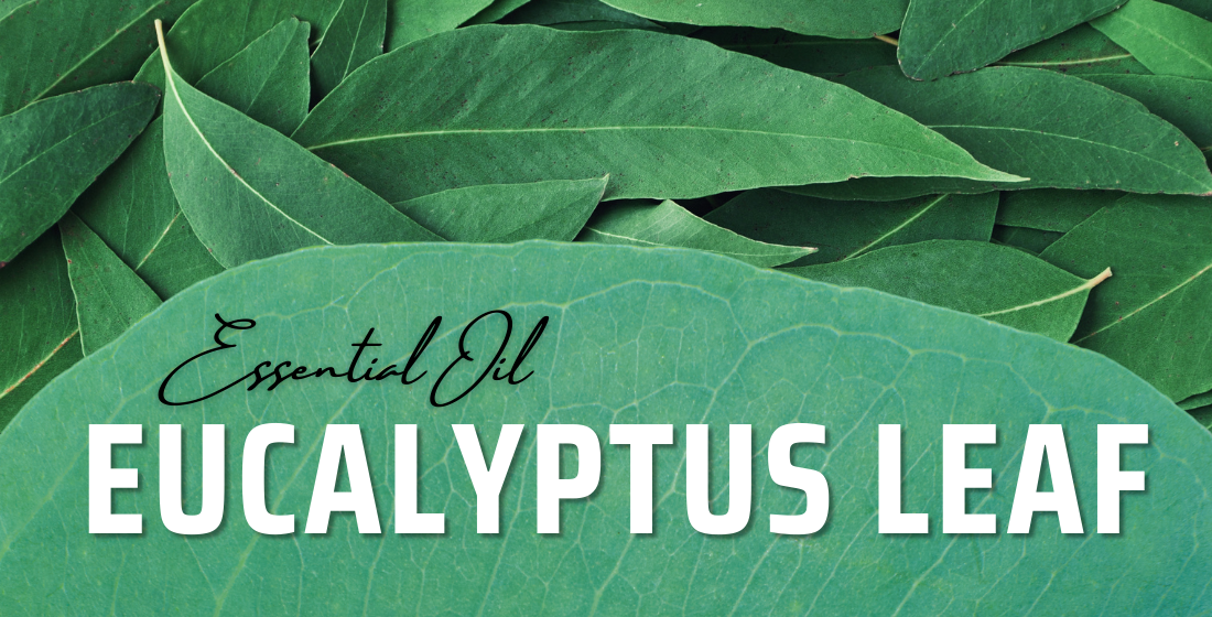 Eucalyptus Leaf Oil