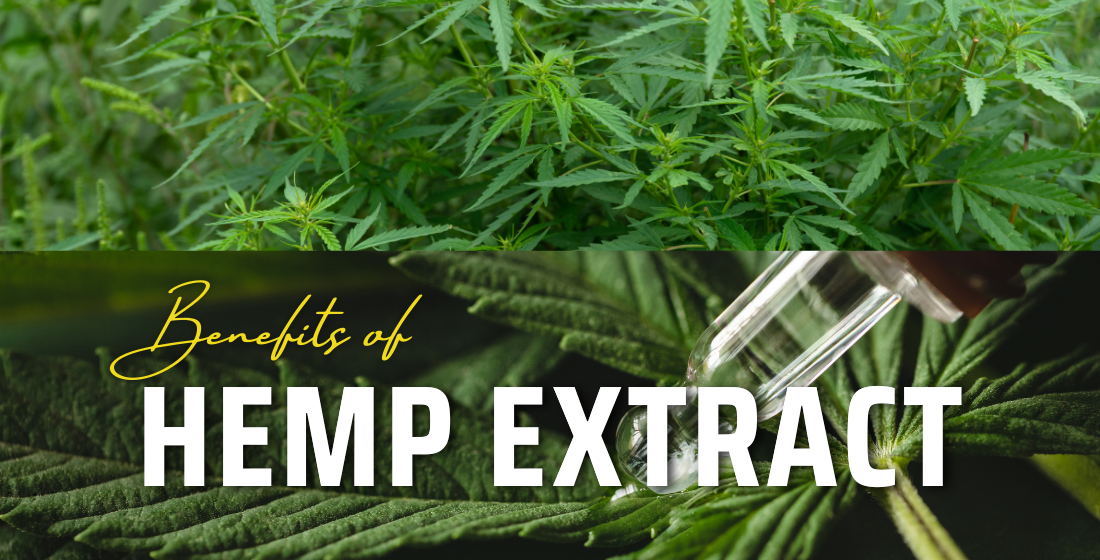 Hemp Extract (Aerial Parts)