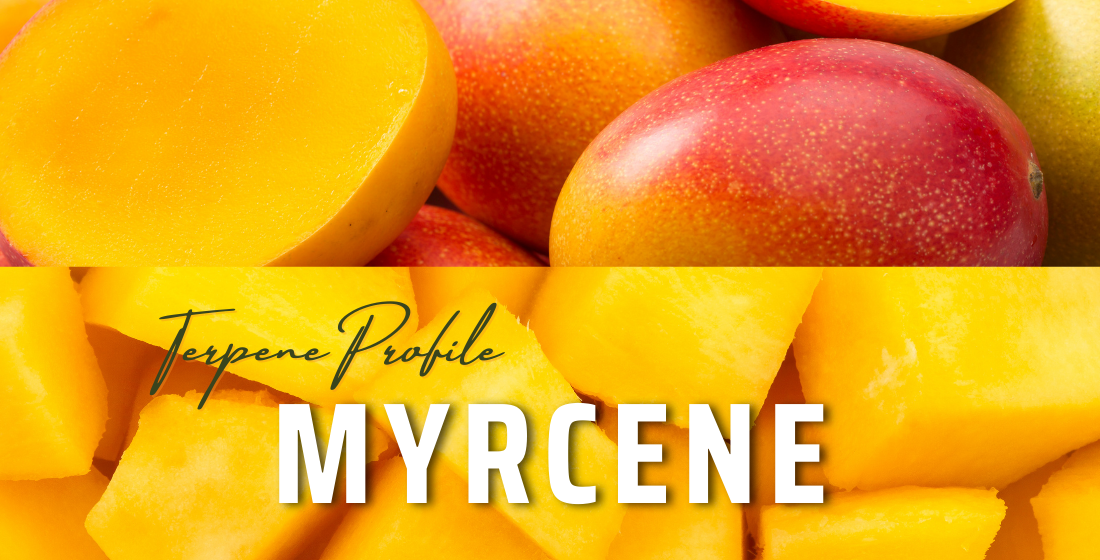 Terpene Profile: Myrcene