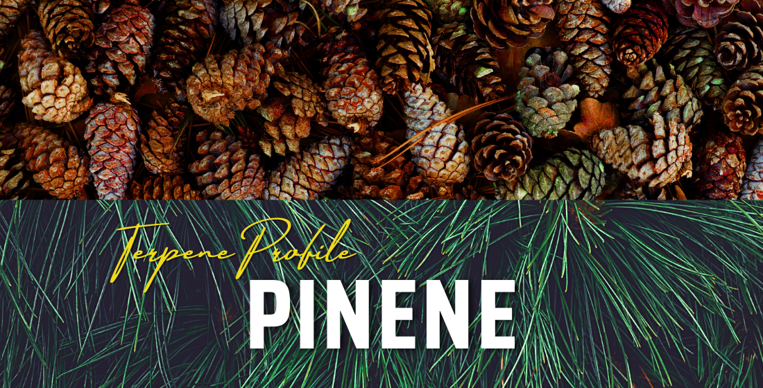 Terpene Profile: Pinene